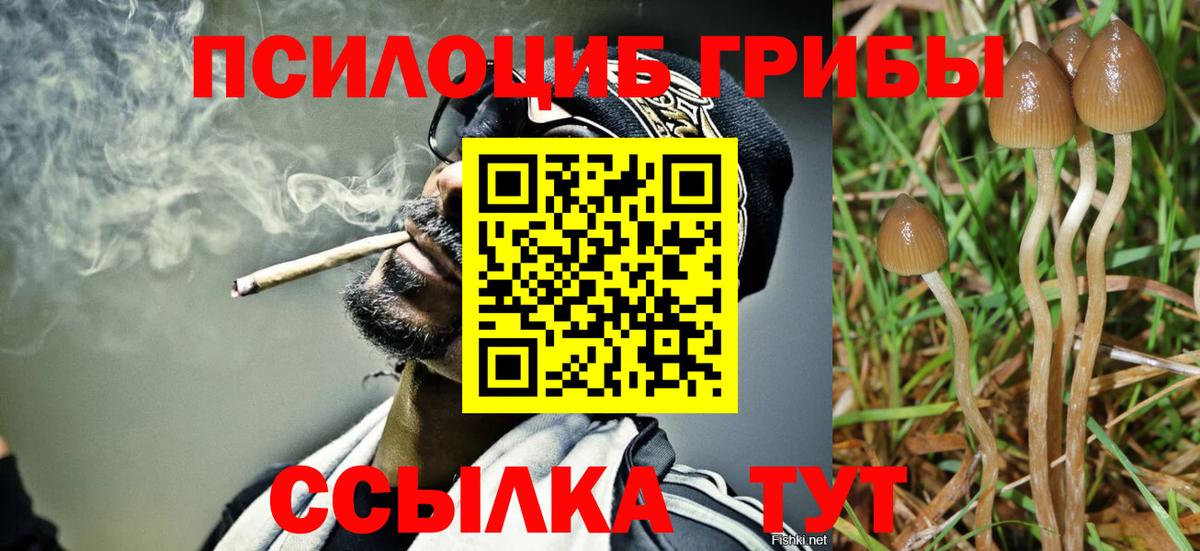 Галлюциногенные грибы ЛСД Донецк