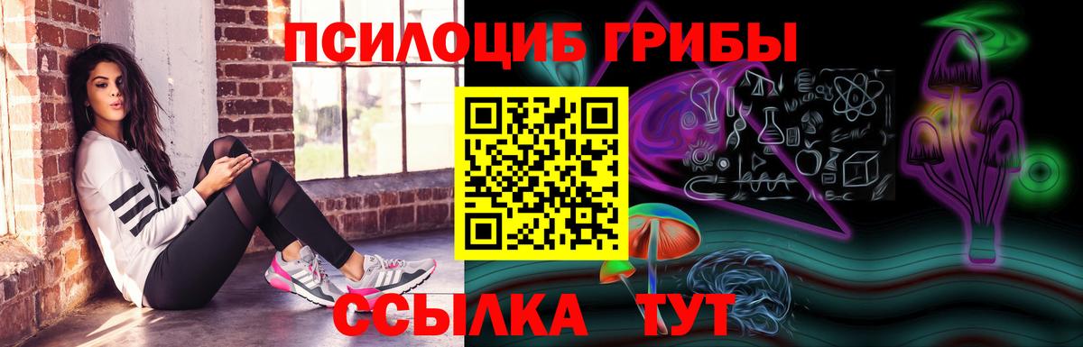 Псилоцибиновые грибы Psilocybine cubensis  Вход с VPN  Донецк  Псилоцибиновые грибы мухоморы 
